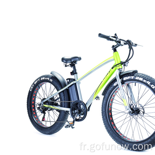 Bike électrique de vélo de montagne électrique rétro classique 500W